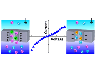 Modulation of Charge Density and Charge Polarity of Nanopore Wall by Salt Gradient and Voltage