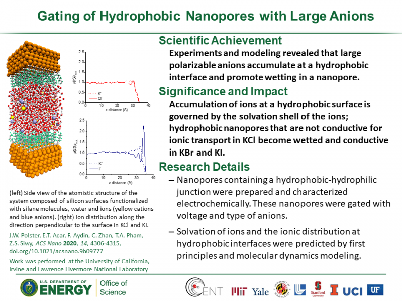 CENT_P17-Gating Hydrophobic Nanopores
