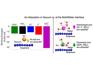 Uncovering a Universal Molecular Mechanism of Salt Ion Adsorption at Solid/Water Interfaces