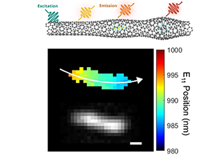 Selective filling of n-hexane in a tight nanopore
